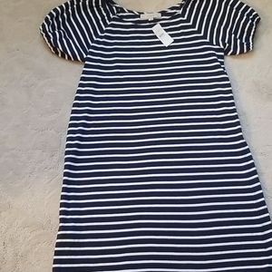 Loft Navy and white capped sleeve summer dress